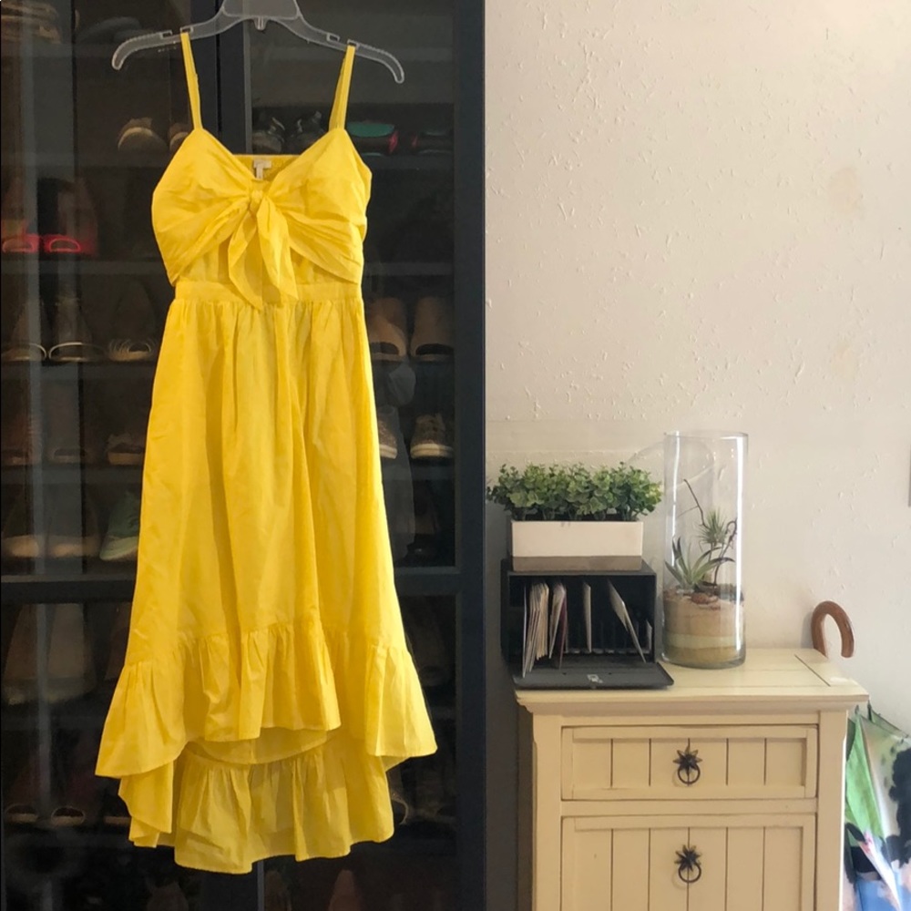 Joie Summer Dress